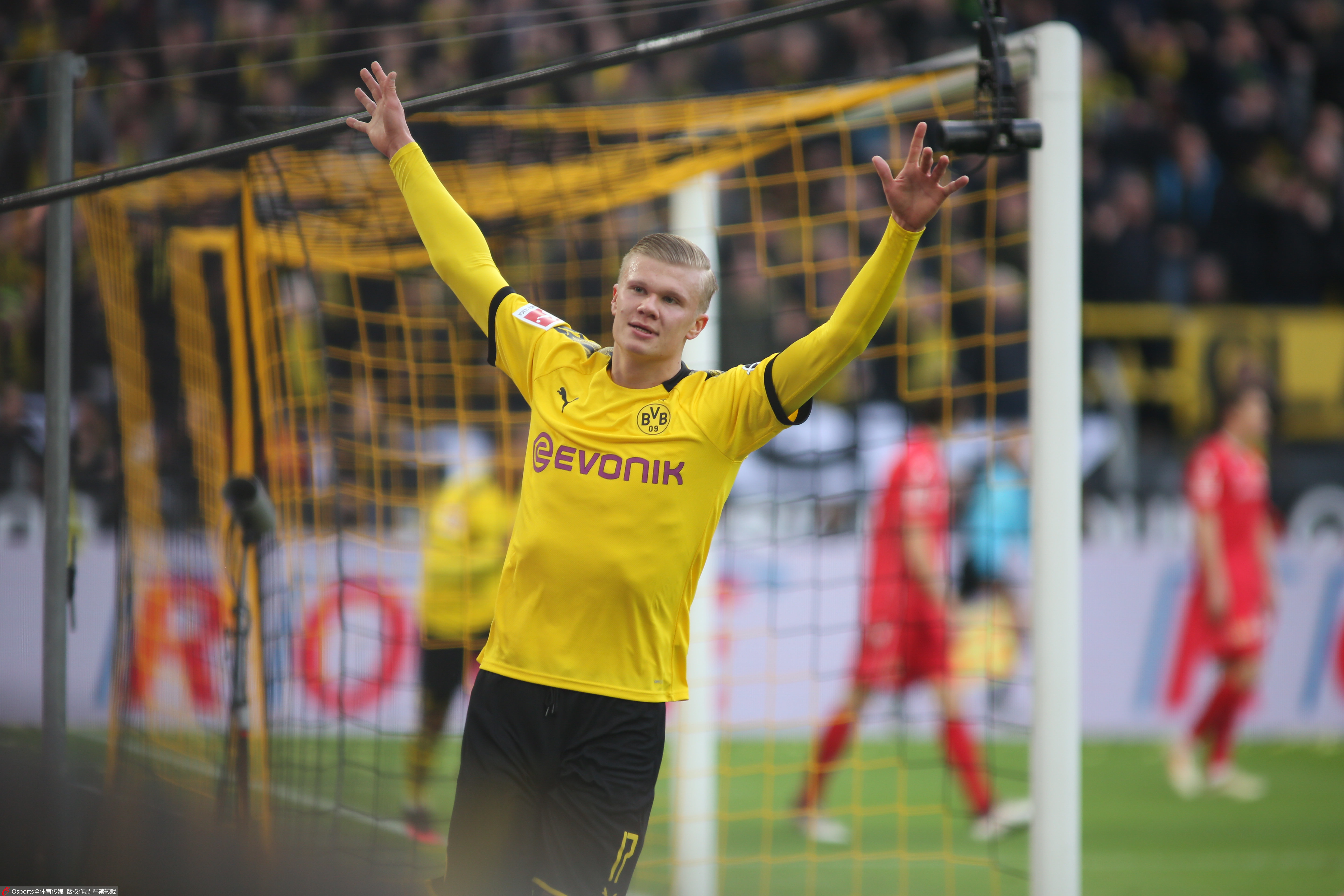 纯设定一个 纯设定一个