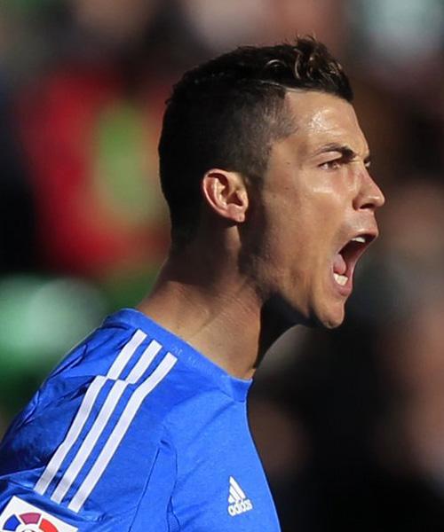 的新增量 的新增量